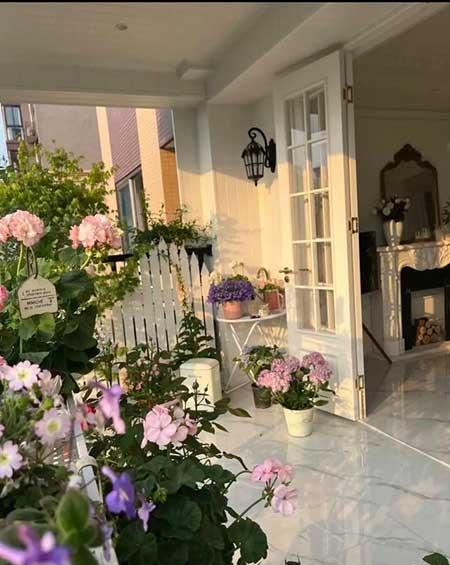 适合室内窗台养的花