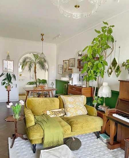 适合室内窗台养的花