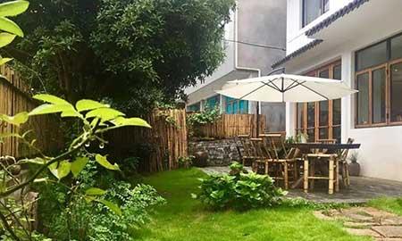 适合露养的绿植