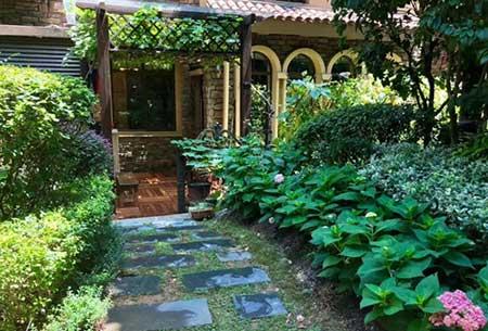 适合北方养的木本花卉