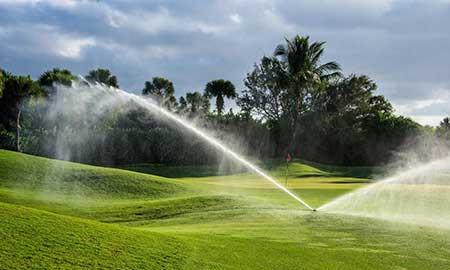 日常绿化养护检查表