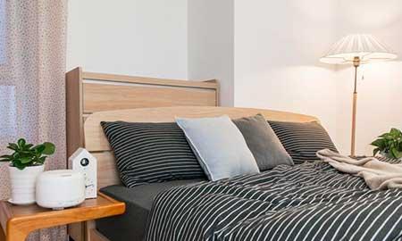 能在卧室养的花