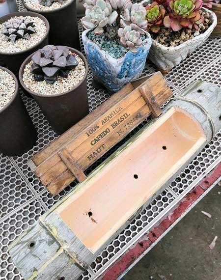 木盒子适合养什么花