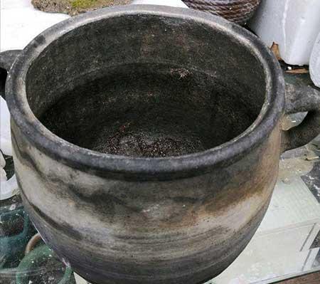 木盒子适合养什么花