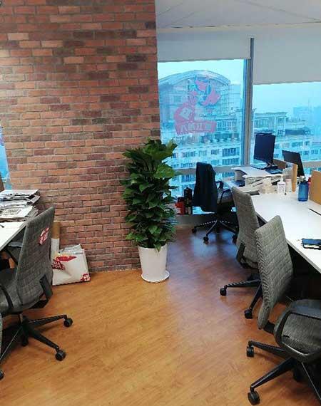 绿植租摆考核标准