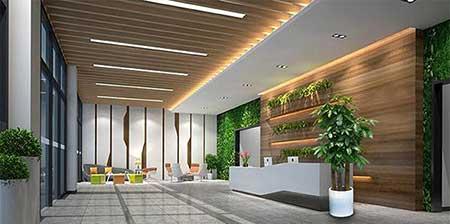 绿植租摆合理化建议