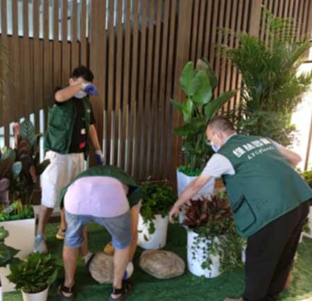 绿植租摆方案图