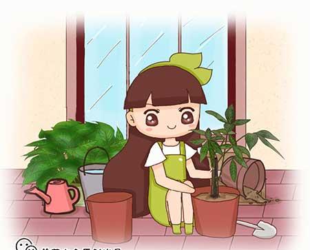 绿植怎么养不黄叶