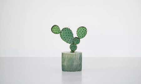 绿植养护注意事项