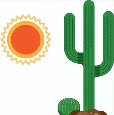 绿植养护是什么意思