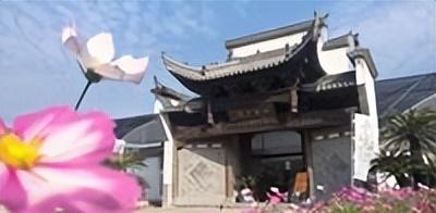 绿植养护是什么意思