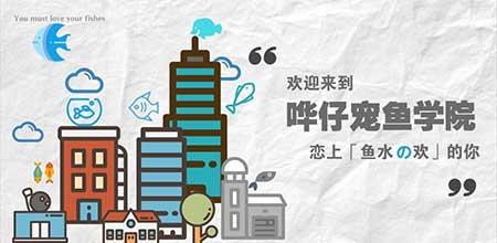 绿植孔雀兰养殖方法