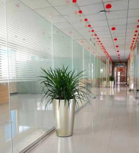 绿植花卉租赁租摆价格