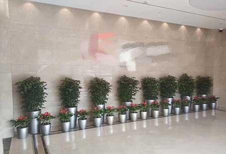 绿植花卉租赁租摆价格