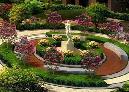 绿植的养护与管理