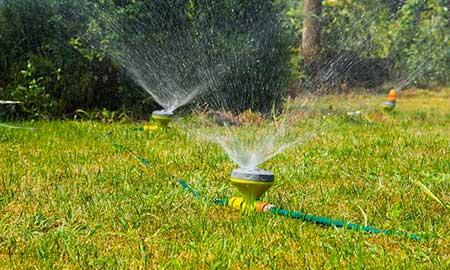 绿化工程保养期