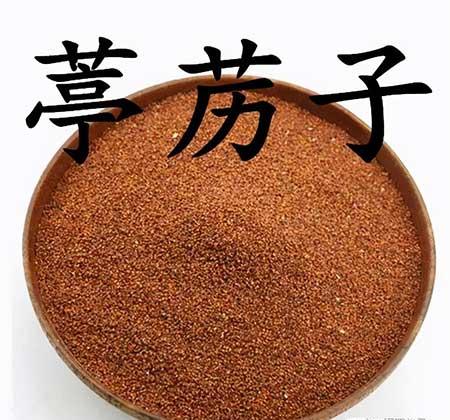 炉中火适合养什么绿植