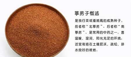 炉中火适合养什么绿植