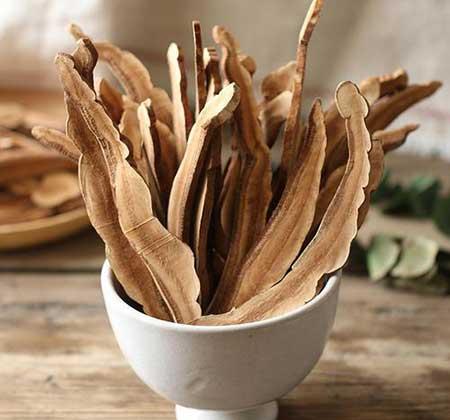 灵芝盆栽怎么保养