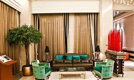 客厅绿植哪种好养