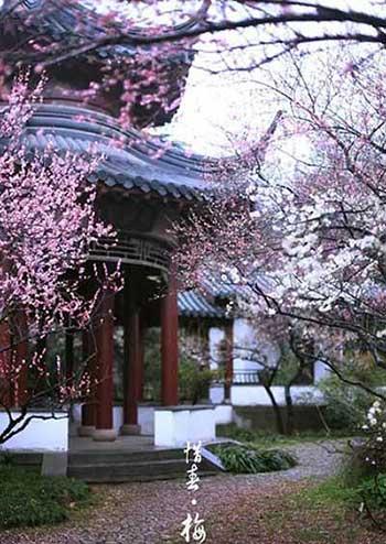 开花期长易养的是什么花