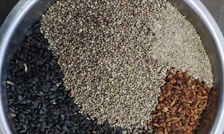 君子兰盆栽怎么养