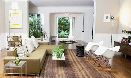 家养大型绿植品种大全