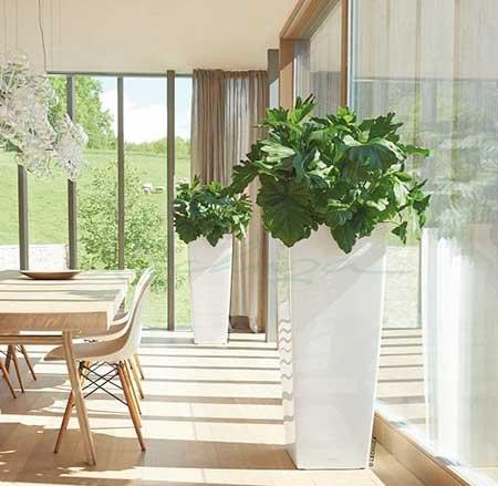 花卉租赁价格一览表