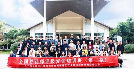 花卉绿植租赁公司