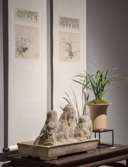 公司养什么绿植