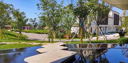 工程绿化养护期