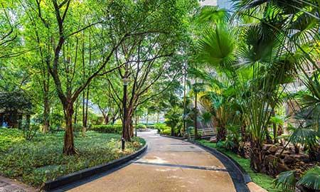 工程绿化养护期