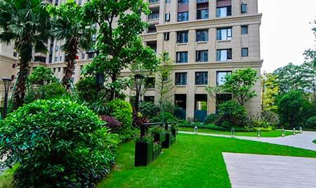 工程绿化养护期