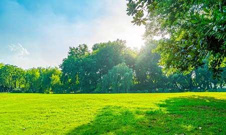 工程绿化养护期