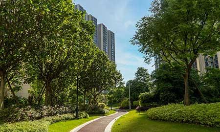 工程绿化养护期