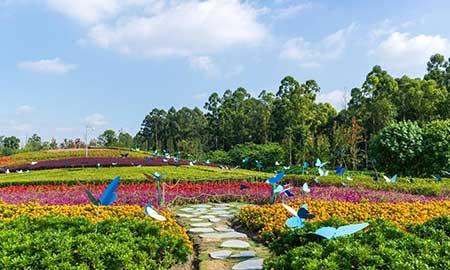 工程绿化养护期