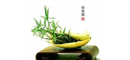 风竹盆栽怎么养