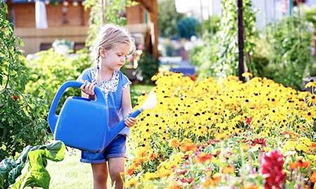 儿童养什么花最好