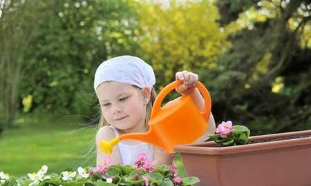 儿童养什么花最好