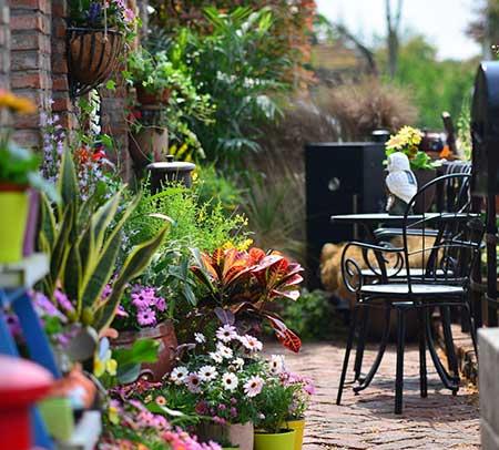 适合在卧室养的花