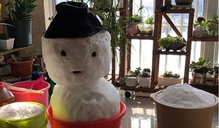 养护花草的小技巧