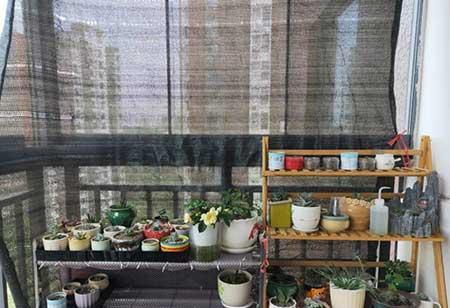 养护花草的小技巧