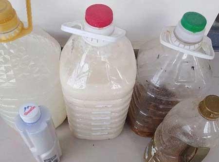 养护花草的小技巧