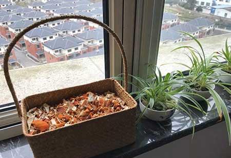 养护花草的小技巧