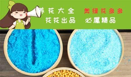 养护花草的小技巧