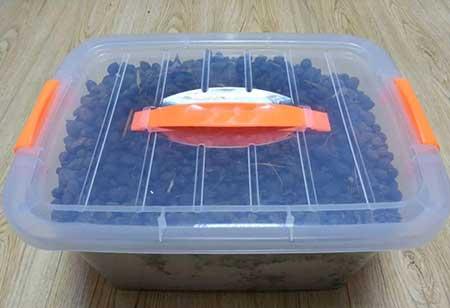 养护花草的小技巧