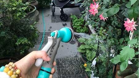 养护花草的小技巧