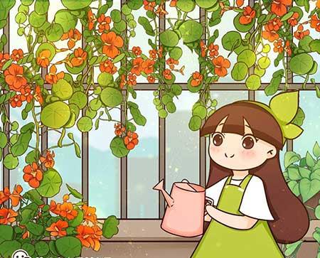 阳台适合养什么绿植