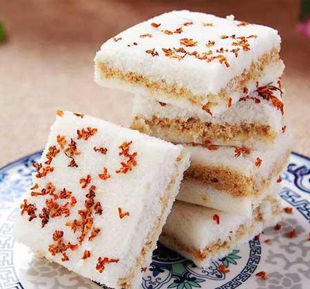 家庭适合养什么花