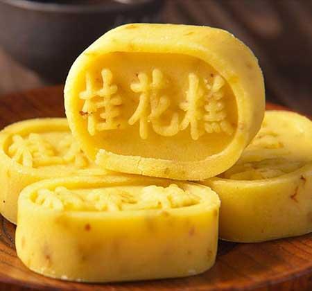 开花时间长比较好养的花